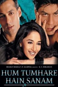 Hum Tumhare Hain Sanam Movie Download